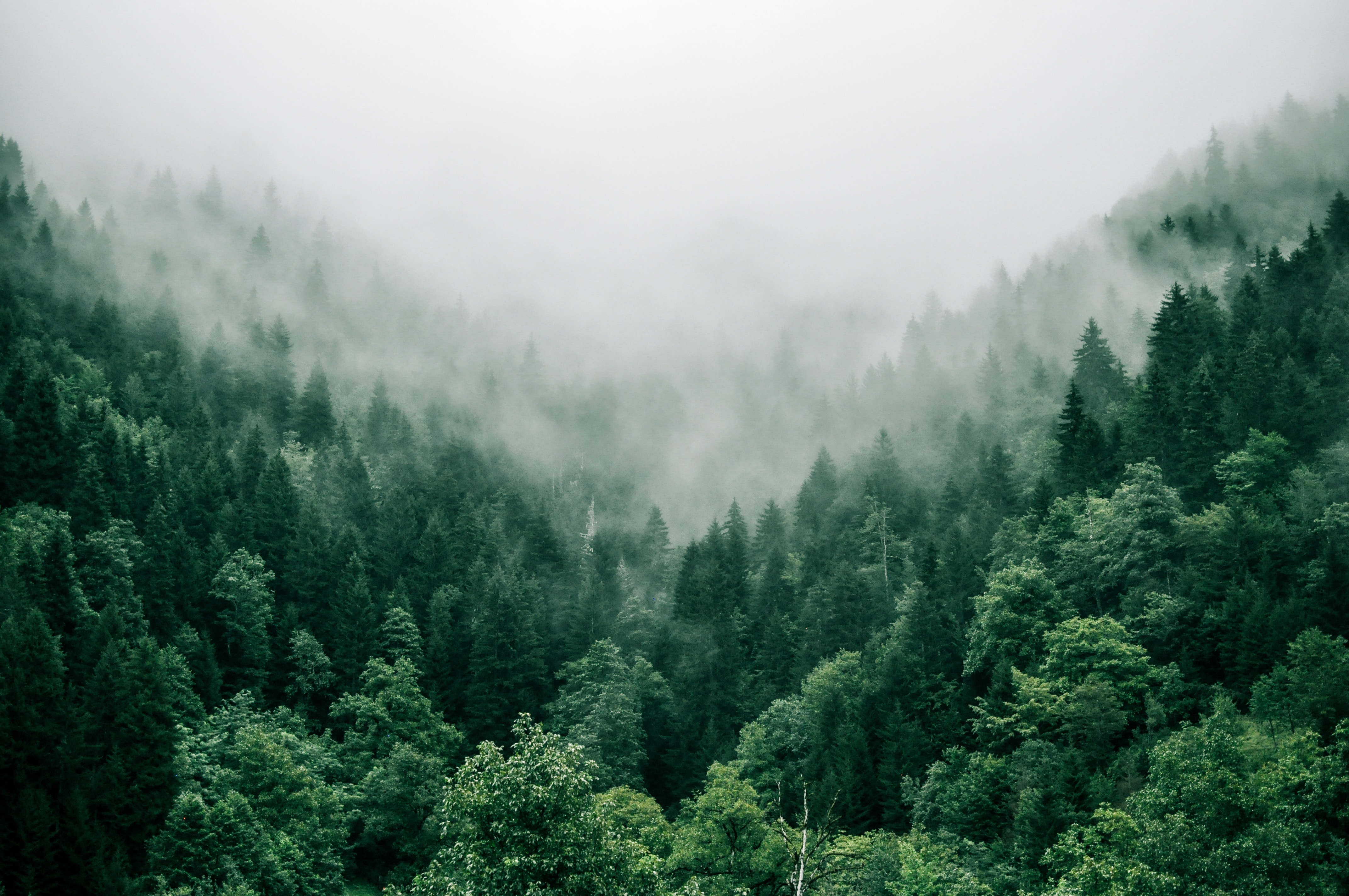Why Cloudy mountains